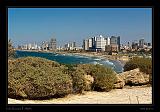 Jaffa 013